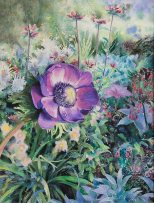 <h5>Anemone</h5>