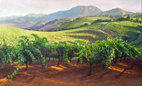 <h5>Nuns Canyon Vineyard</h5>