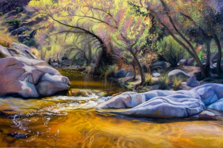 <h5>Pools at Romero Canyon</h5>