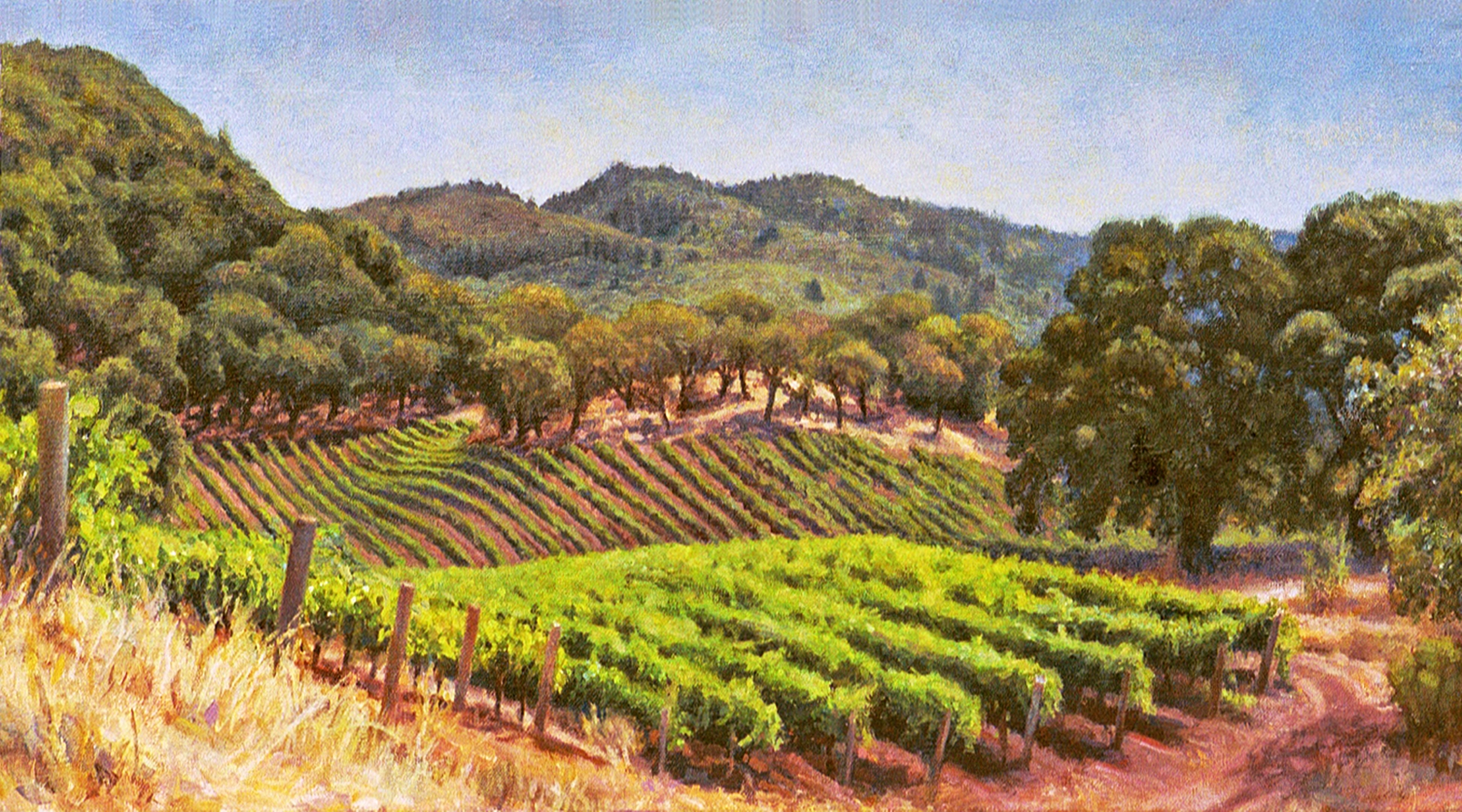 Sonoma Summer, Oil, 14" x 25", Sold